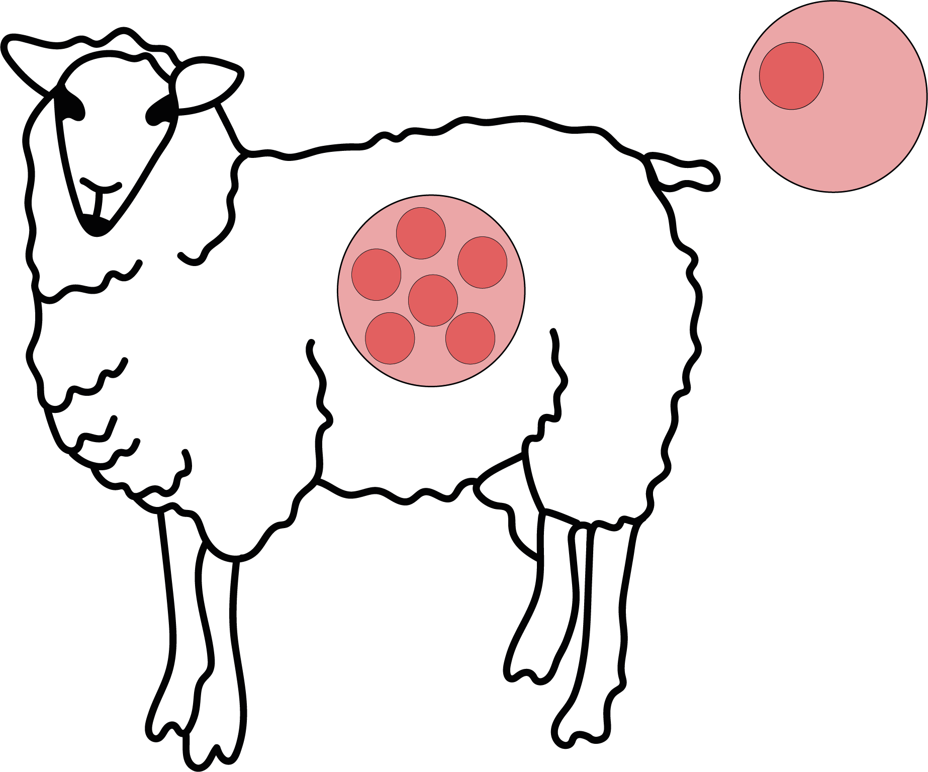 La clonación y el futuro